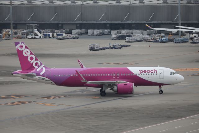 Airbus A320neo (JA203P) - June 24, 2024:TPE-HND.
