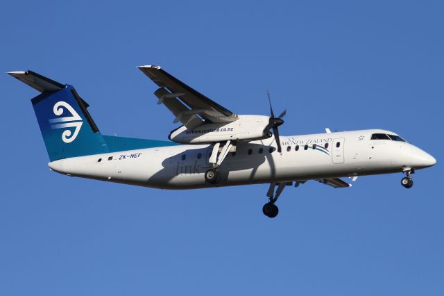 de Havilland Dash 8-300 (ZK-NEF)