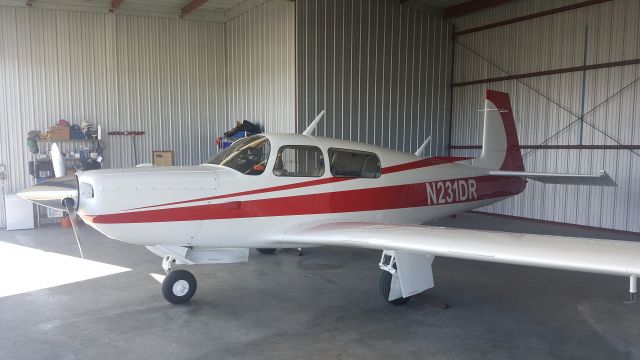 Mooney M-20 Turbo (N231DR)