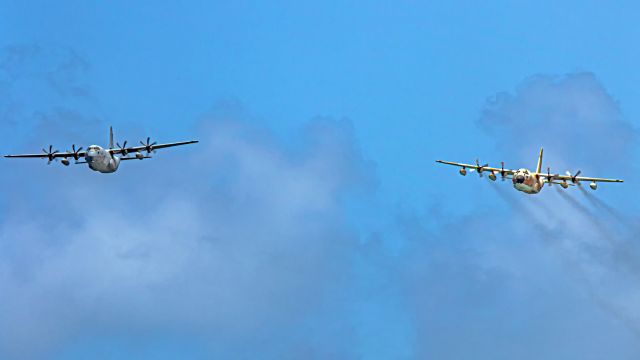Lockheed C-130 Hercules (0665)