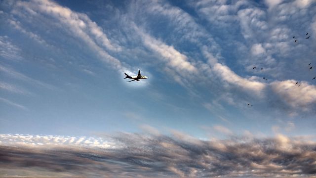 Boeing 777-200 (N850FD) - July 9th approx. 6 am,  I took 7 pictures in a row. I cant explain why the halo around the plane.