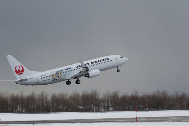 Boeing 737-800 (JA327J) - 06 December 2015:HKD-HND.