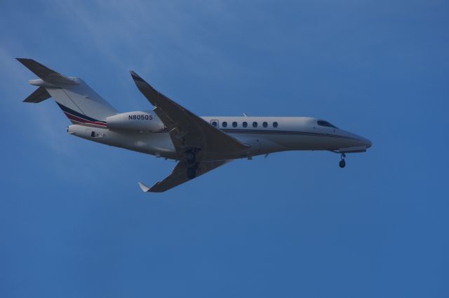 Cessna Citation Longitude (N805QS)