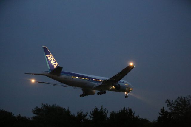 Boeing 777-200 (JA8197) - 18 August 2015:HND-HKD.