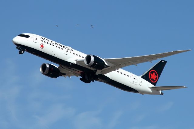 Boeing 787-9 Dreamliner (C-FRTW) - 12/01/2019: Four pigeons "accompany" the flight to Toronto after T/O.