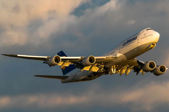 BOEING 747-8 (D-ABYU)