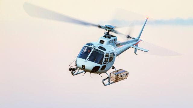 Eurocopter AS-350 AStar (VH-LGG)