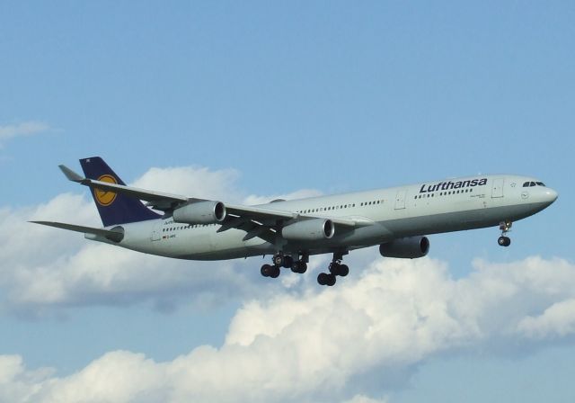 Airbus A340-300 (D-AIFE)