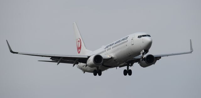 Boeing 737-800 (JA322J)