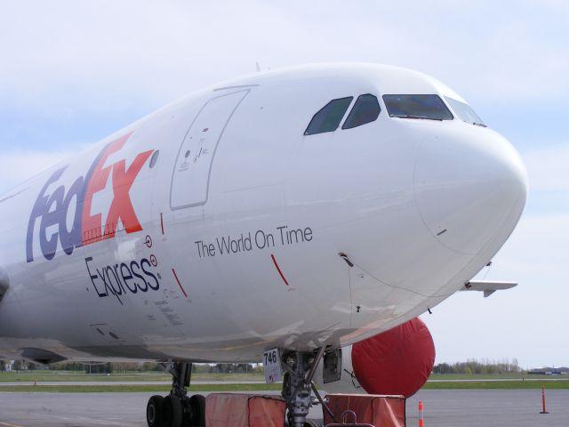 Airbus A320 (N746FO) - left side of nose