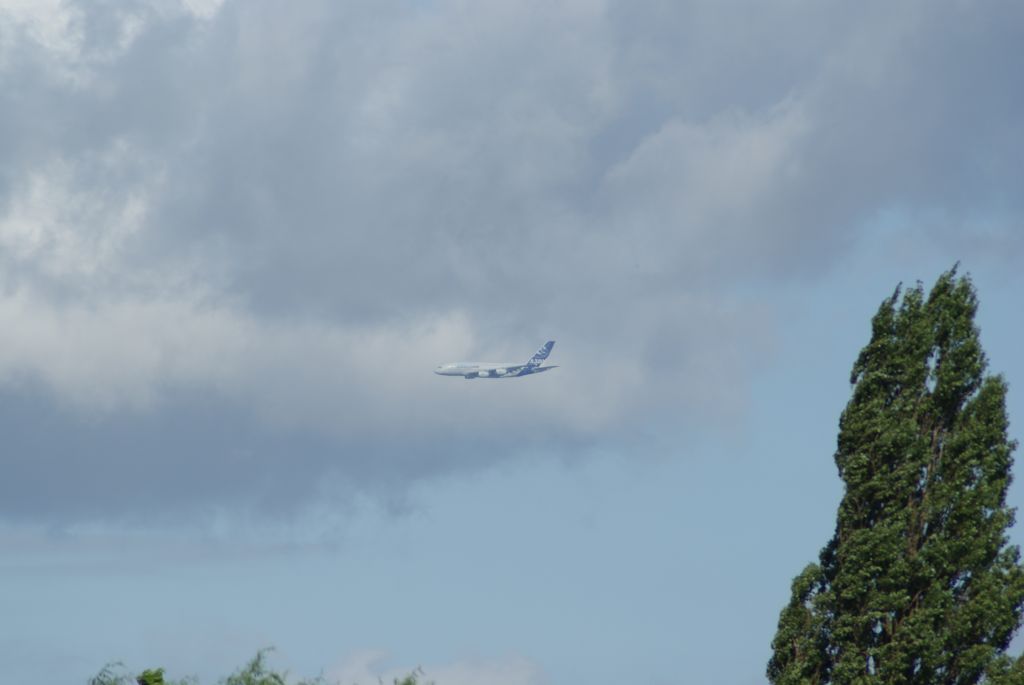 Airbus A380-800 —
