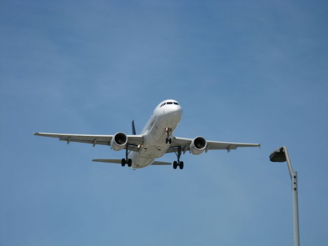 Airbus A320 — - An Avianca A320 in the Star Alliance paint job.