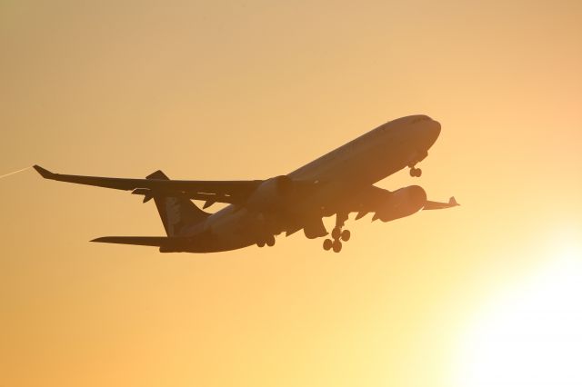 Airbus A330-200 (N386HA)