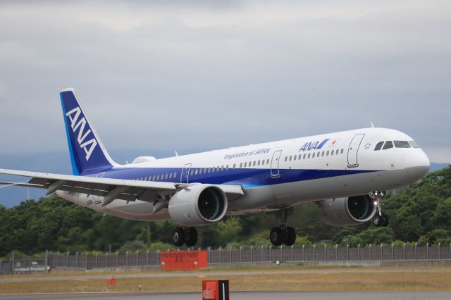 Airbus A321 (JA134A) - Jult 5th 2020:HND-HKD.NH553.