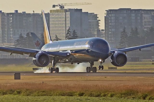 BOEING 787-10 Dreamliner (VN-A872) - Early morning arrival of this repatriation flight during COVID-19 time