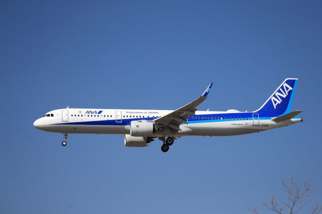 Airbus A321neo (JA139A) - April 20th 2019:HND-HKD.