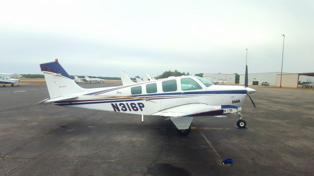 Beechcraft Bonanza (36) (N316P)