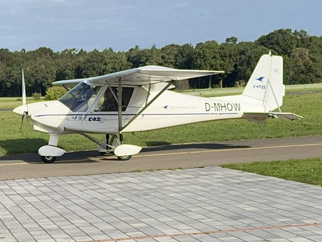 D-MHOW —