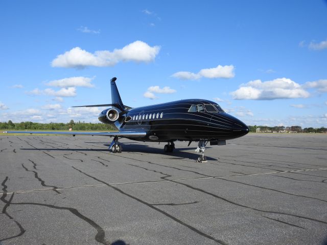 — — - One beautiful Falcon at CYQA Muskoka Canada