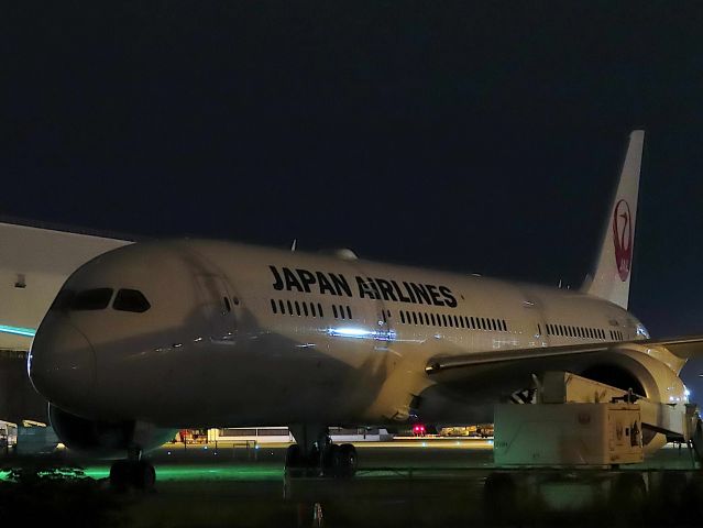 Boeing 787-9 Dreamliner (JA875J) - I took this picture on Sep 04, 2019.