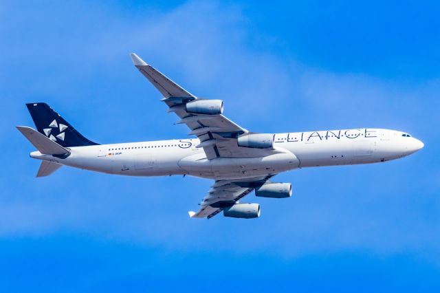 Airbus A340-300 (D-AIGW) - Lufthansa A340-300 in Star Alliance special livery on approach to DFW on 12/28/22. Taken with a Canon R7 and Tamron 150-600 G2 lens.