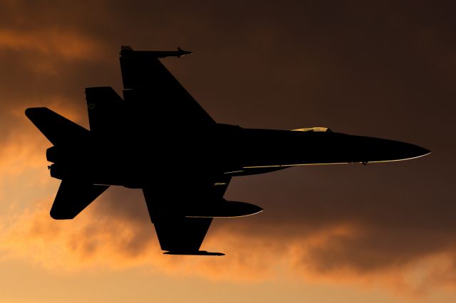 McDonnell Douglas FA-18 Hornet (C1584) - Muelle de Santa Cruz de Tenerifebr /03/06/2017br /AIRSHOW: -Celebration of the Day of the Spanish Armed Forces in the Plaza of Spain in Santa Cruz de Tenerife, with the participation of five helicopters and three F18s.-