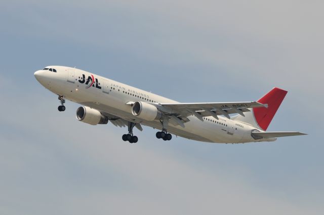 Airbus A300F4-600 (JA8561) - 2010/8/29