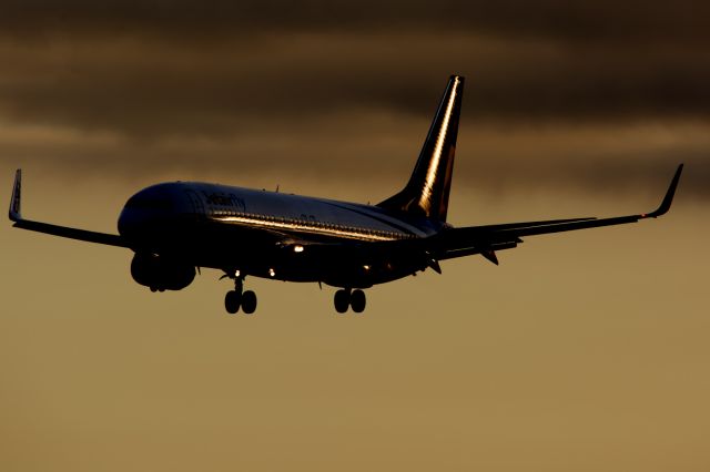 Boeing 737-800 (OO-CAN)