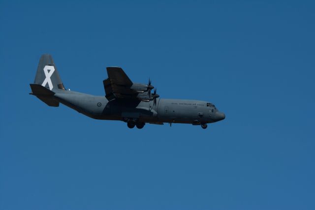 Lockheed C-130 Hercules (A97464)