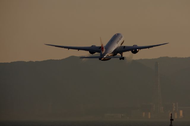 Boeing 787-8 (JA826J)