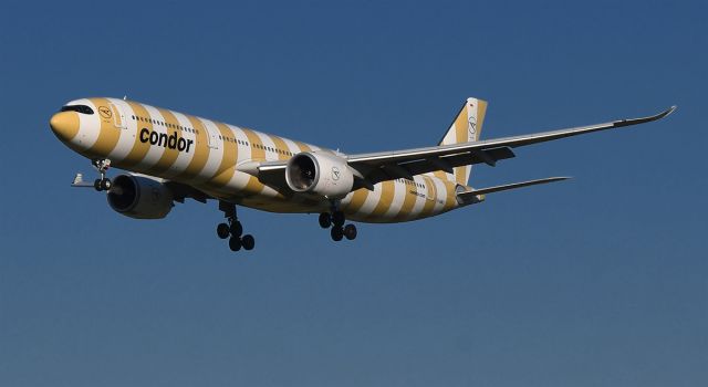 Airbus A330-300 (D-ANJR) - Approach to 33L