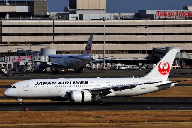Boeing 787-8 (JA824J)