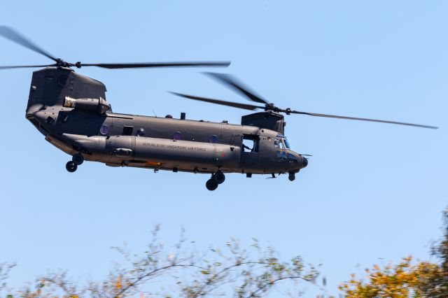 Boeing CH-47 Chinook (08-8162)