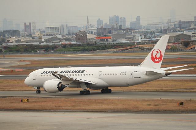 Boeing 787-8 (JA831J) - November 24th 2019:ITM-NRT.