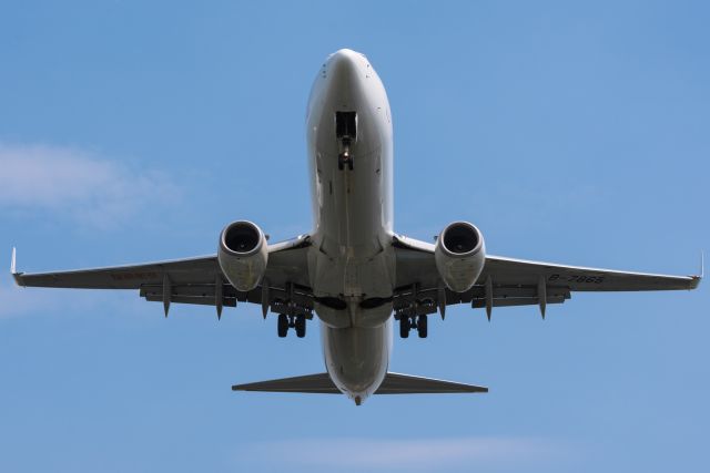 Boeing 737-800 (B-7865)