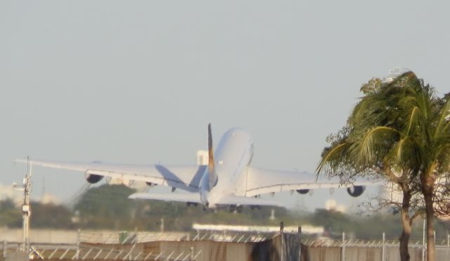 Airbus A380-800 (D-AIMG) - Rotation!