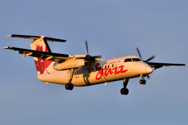 de Havilland Dash 8-100 (C-GOND)