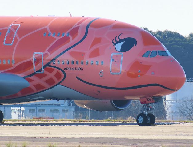 Airbus A380-800 (JA383A) - Photo taken on Nov 13, 2021.