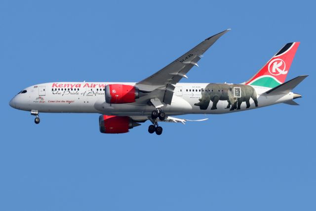 Boeing 787-8 (5Y-KZD) - Kenya's  'Come Live The Magic' livery featuring Najin and Fatu, the last two surviving northern white rhinos in the world.