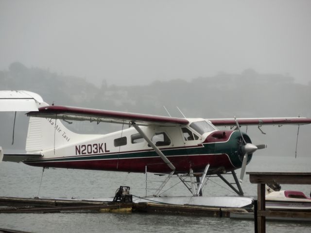 De Havilland Canada DHC-2 Mk1 Beaver (N203KL)