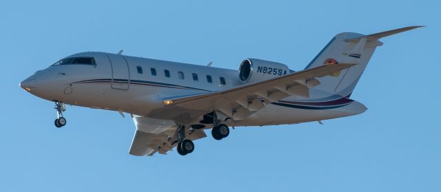 Canadair Challenger (N825SA)