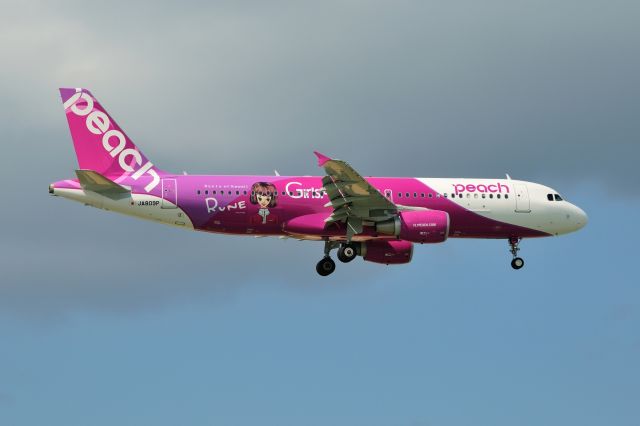Airbus A321 (JA809P) - 2013/10/18