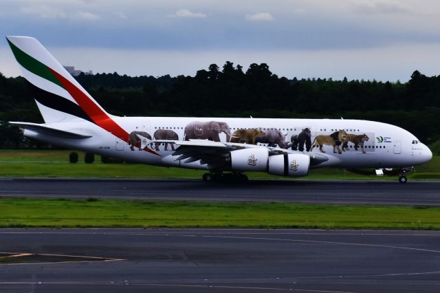 Airbus A380-800 (A6-EOM)