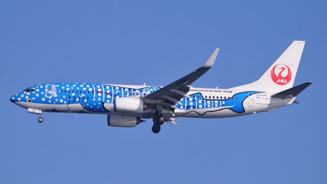 Boeing 737-800 (JA05RK)