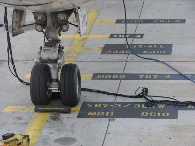 N174DN — - A 767-332/ER getting ready to depart to Rio de Janerio. One of the roughest looking Delta planes a lot of chipped paint.