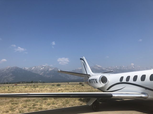 Cessna Citation V (N17TX)