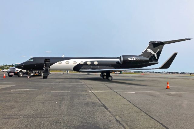 Gulfstream Aerospace Gulfstream V (N444SC) - BLACK PUMAS