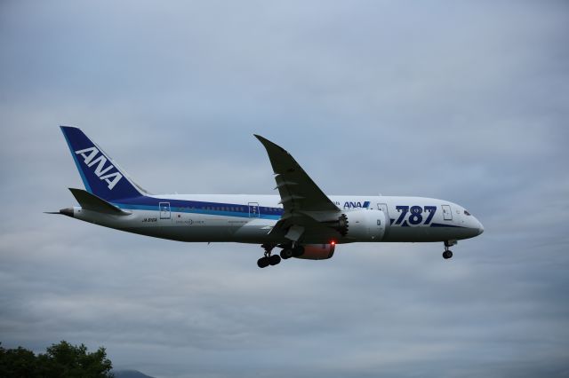 Boeing 787-8 (JA816A) - 17 July 2015: HND-HKD.