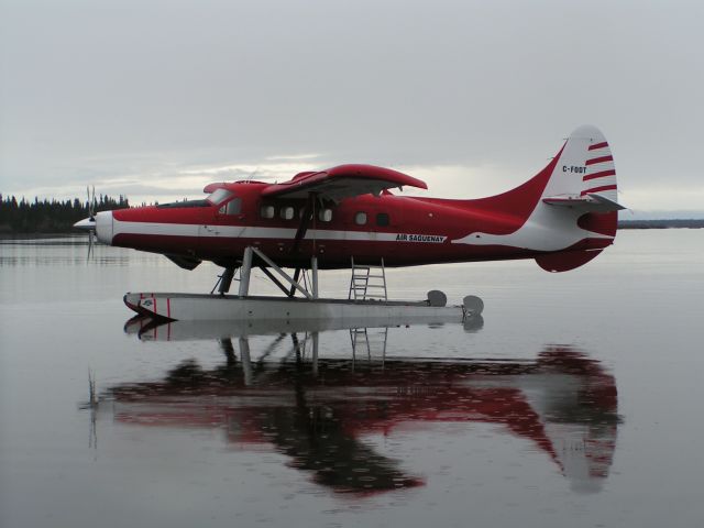 De Havilland Canada DHC-3 Otter (C-FODT)