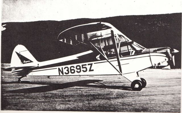 Piper L-21 Super Cub (N3695Z)